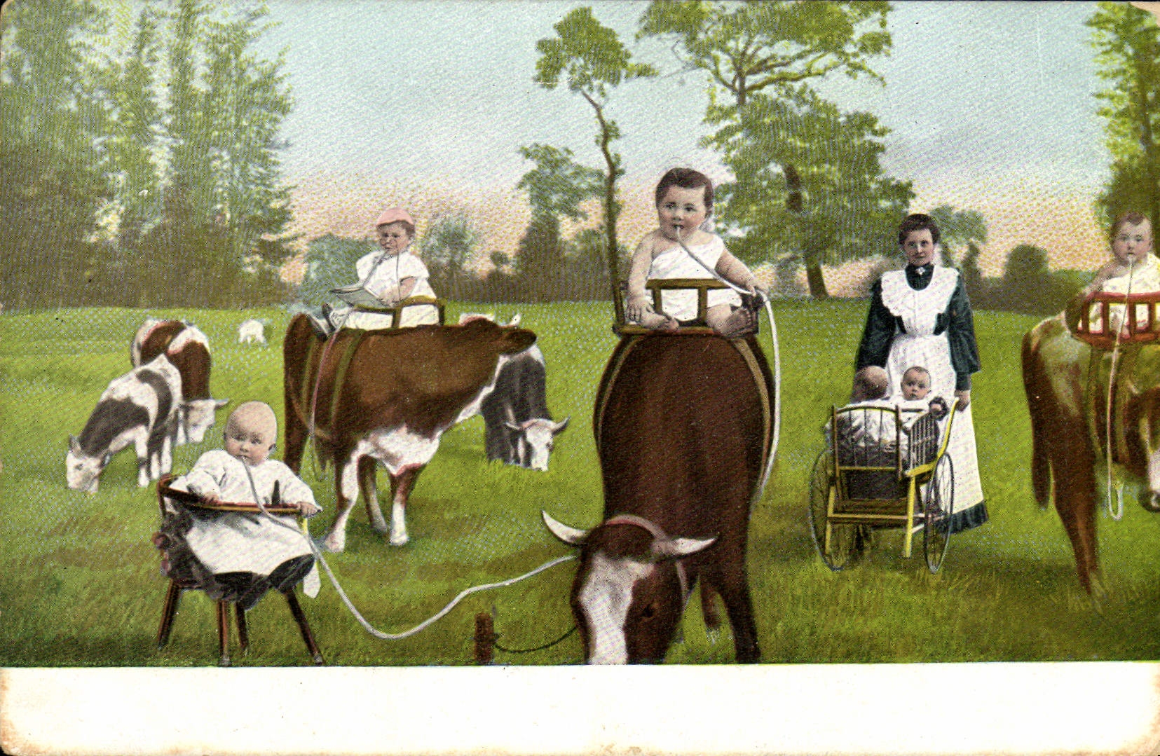 CPA Folklore Lait Femmes Enfants Bebes Vache