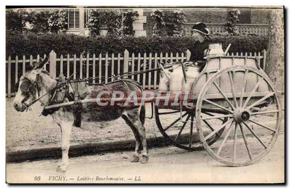 CPA Folklore Lait Vichy Laitiere Bourbonnaise Ane Mule TOP