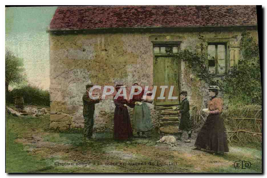 CPA Folklore Lait Chacun songe a sa mere buvant du bon lait 