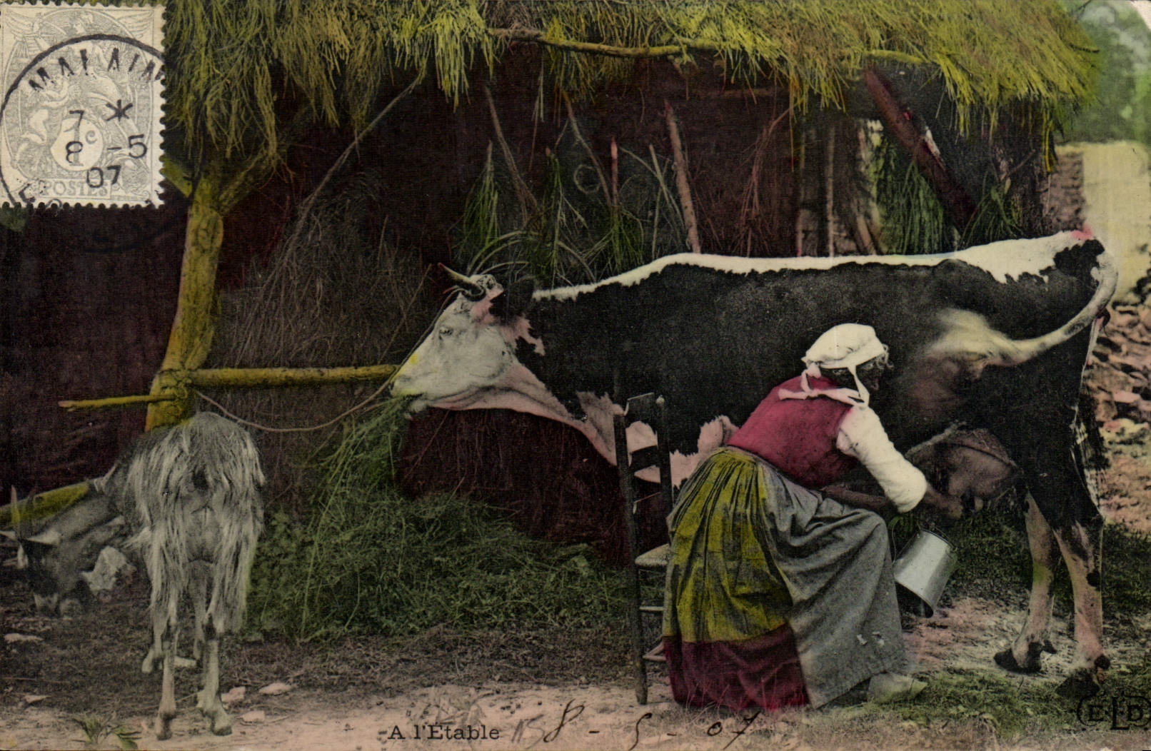 CPA Folklore Lait Femme a l'etable Vache Chevre 