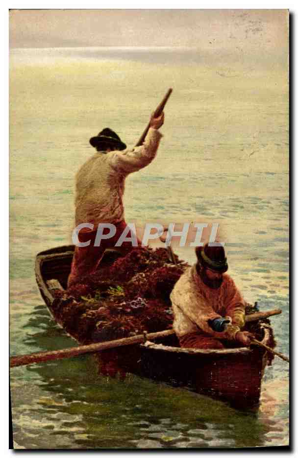 Gathering Seaweed — (Macallum) Tate Gallery — Photocrom Co. Ltd. série 24834