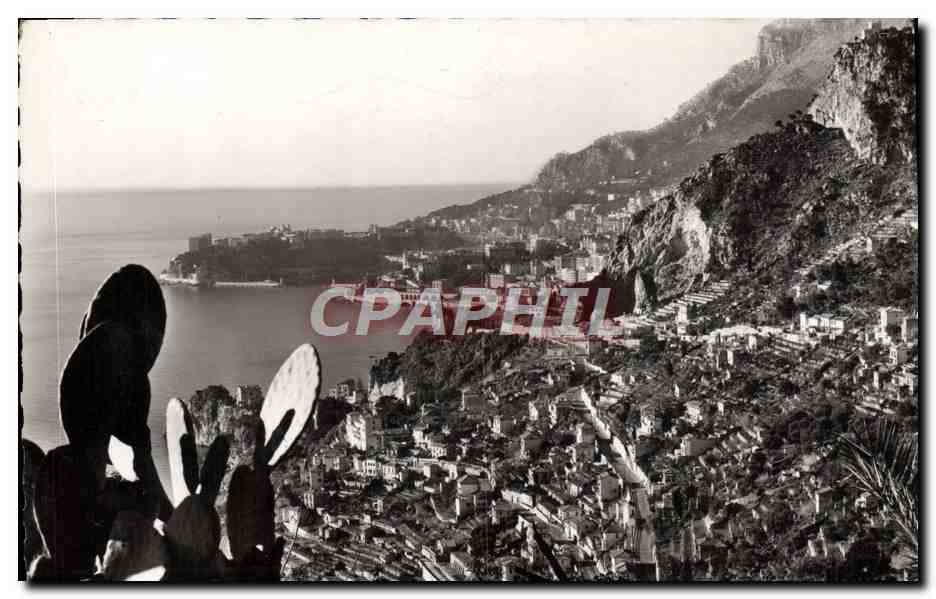 CPM Roquebrune Cap Martin Vue Generale Monte Carlo et le rocher de Monaco 