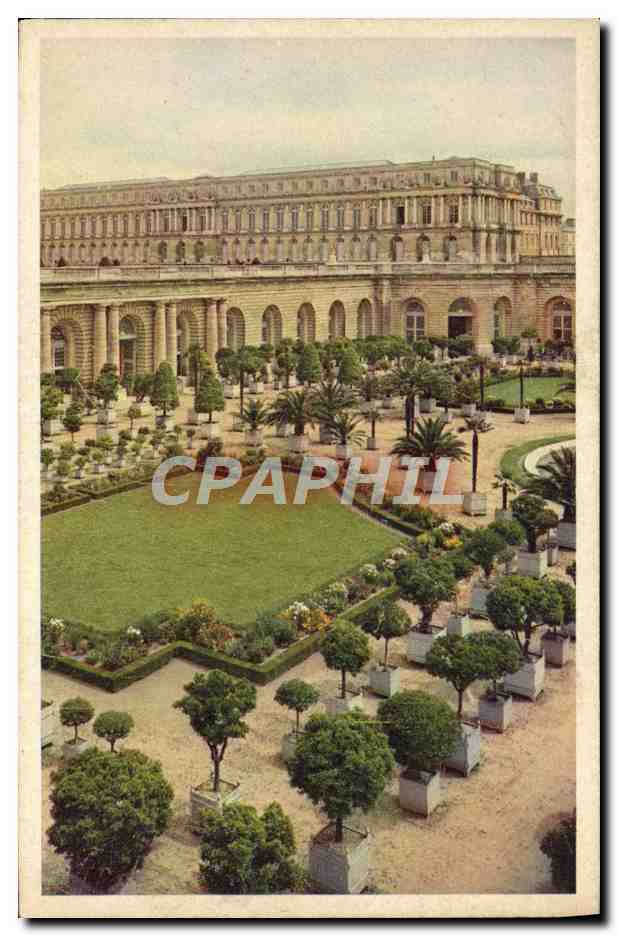 CPA Chateau de Versailles L'orangerie