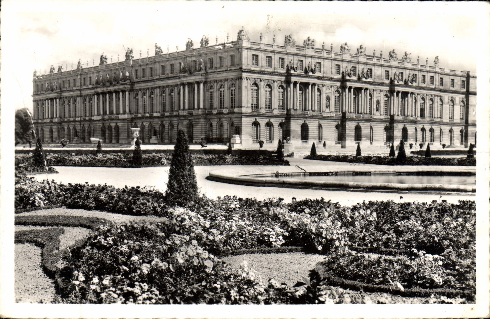 CPM Versailles Le palais et les parterres