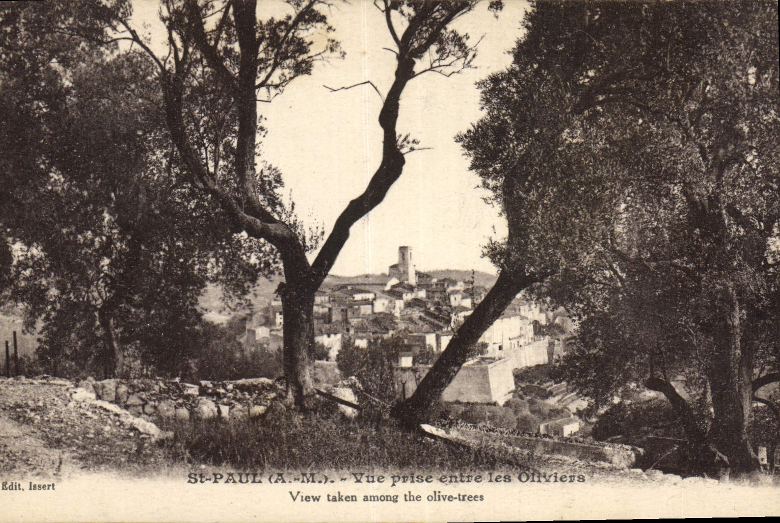 CPA Saint Paul Vue Prise entre les Oliviers