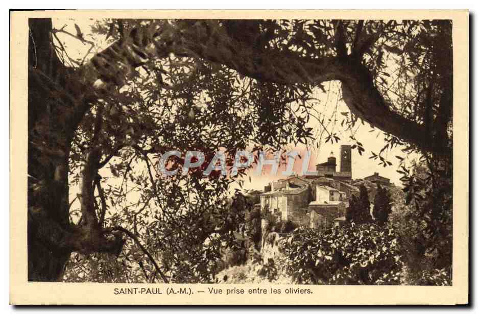 CPA Saint Paul Vue prise entre les oliviers