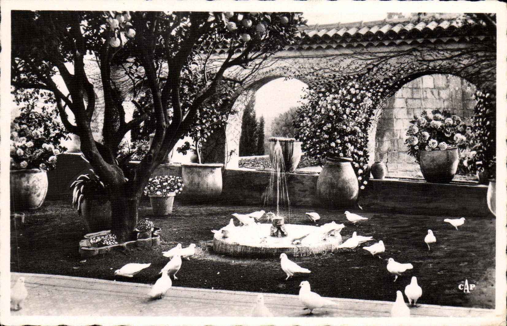 CPA Saint Paul De Vence La Colombe d'Or Vue generale