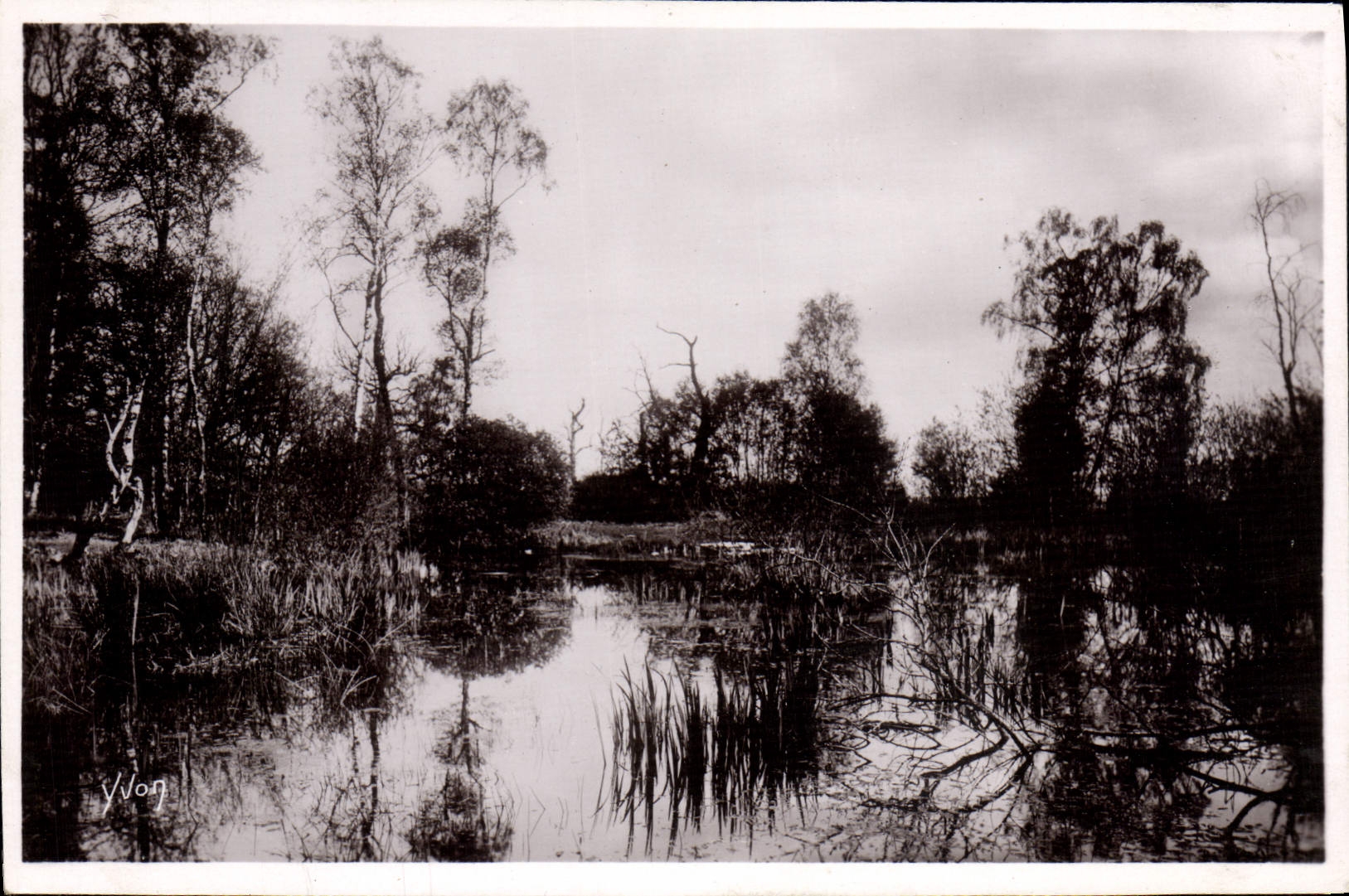 La Foresta — La Piscina delle Fate — Les Éditions d'Art Yvonne, Parigi