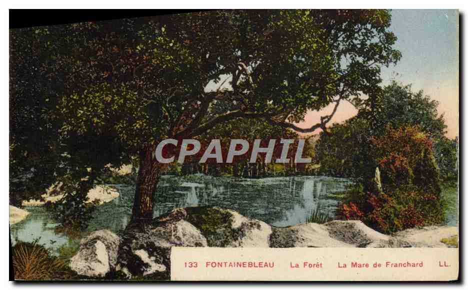 Fontainebleau — El Bosque, La Mare de Franchard — Editor Lévy & Neurdein, n° 133