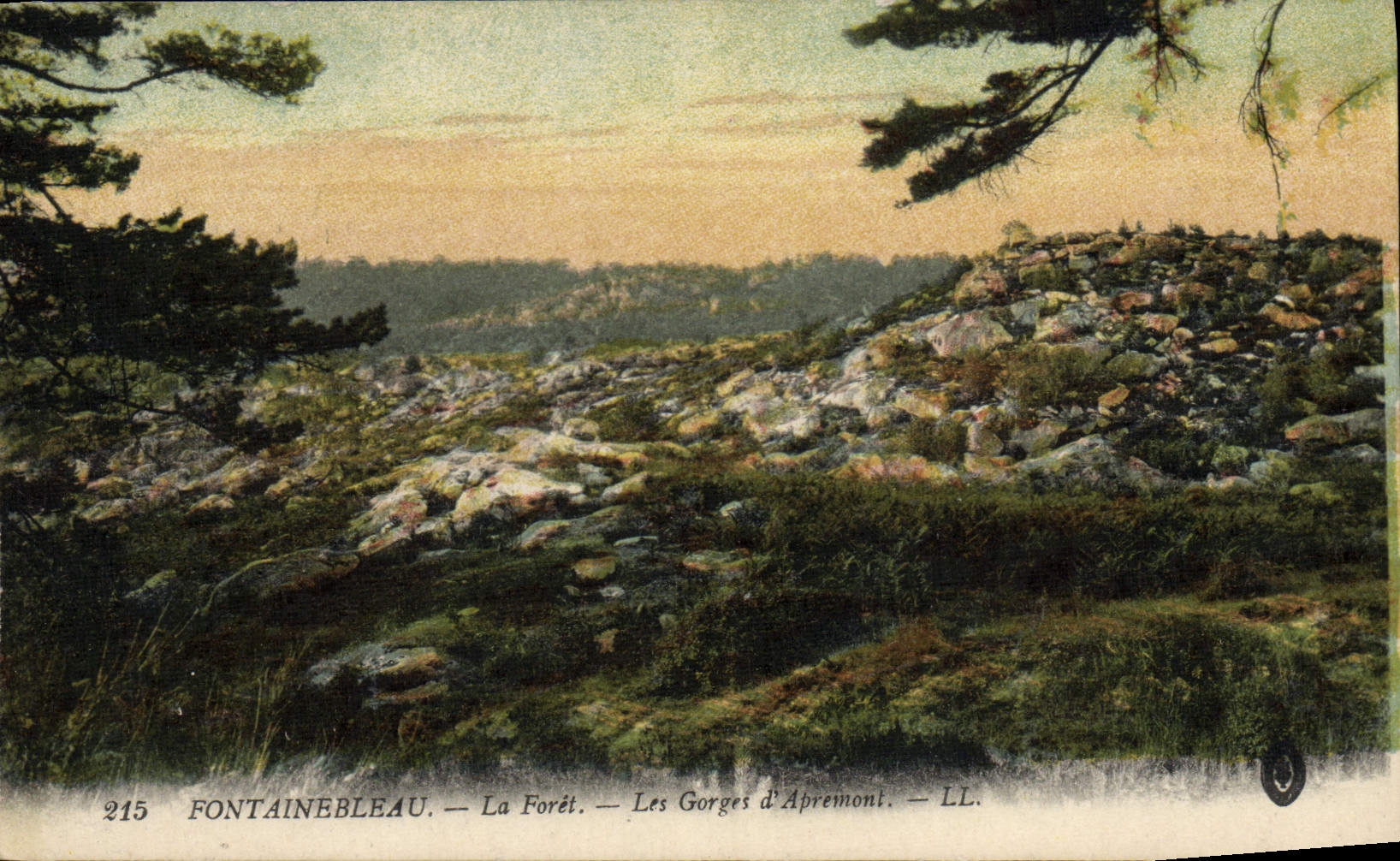 Fontainebleau — La Selva — Las Gorges d'Apremont — LL. — N° 215