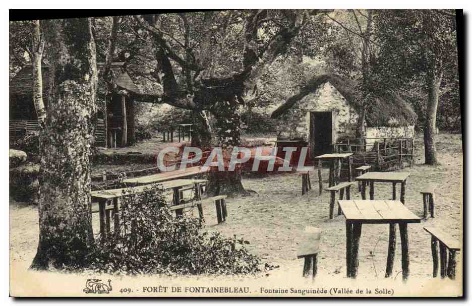 Forêt de Fontainebleau — Fontaine Sanguinède (Tal der Solle) — CPAPHIL n°409