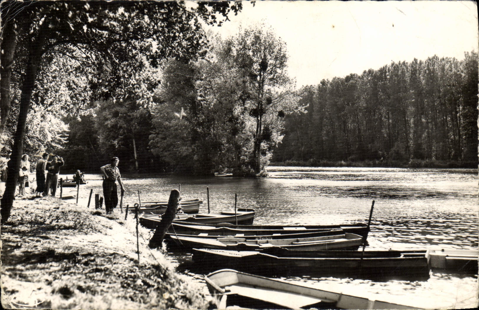 CPM Vaires Sur Marne Un Beau Coin de Peche