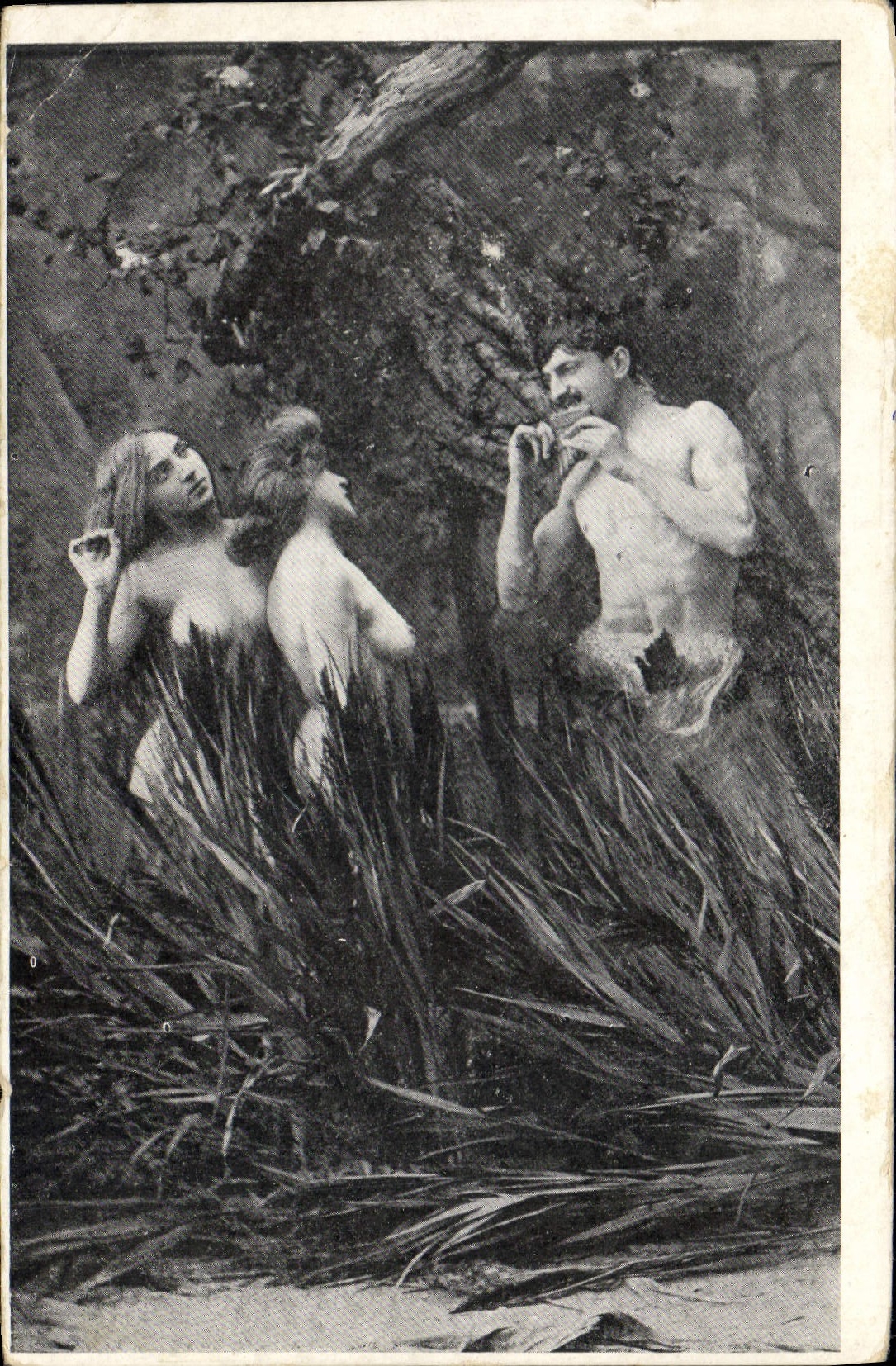 Sujeto mitológico — escena de bosque — Unión Postal Universal