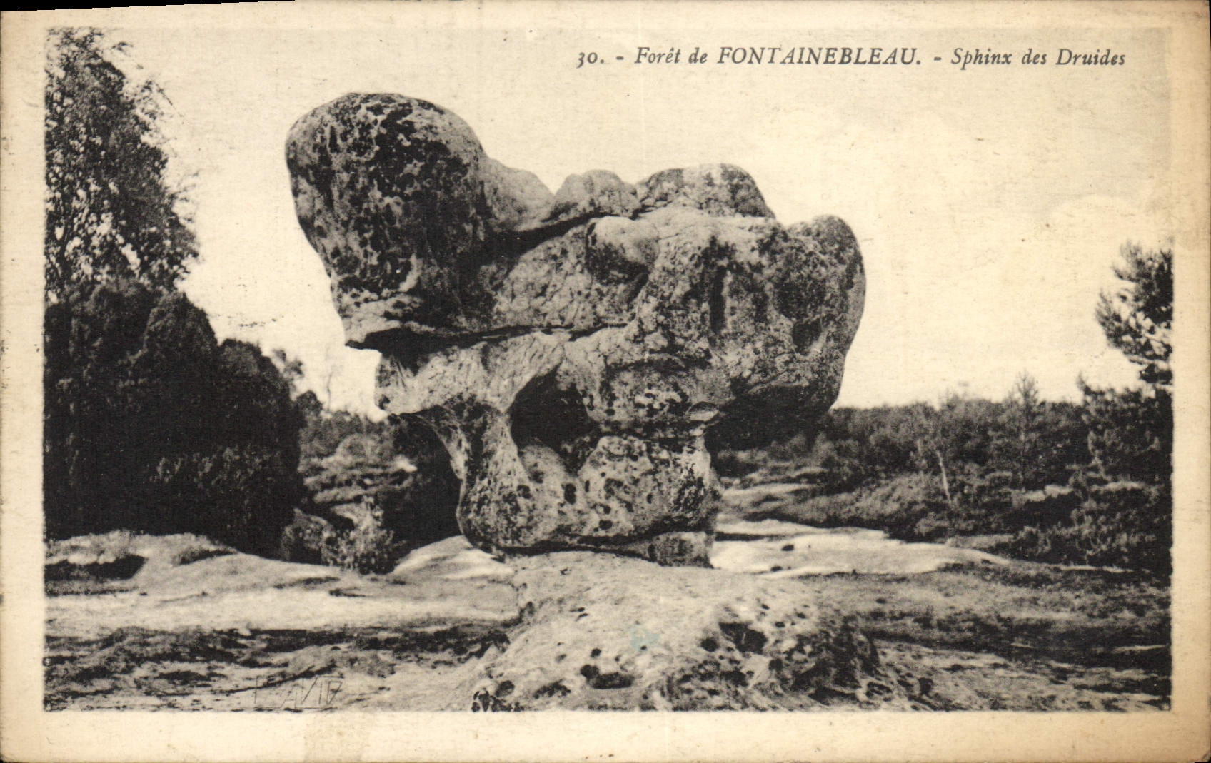 Foresta di FONTAINEBLEAU — Sfinge dei Druidi — n°30