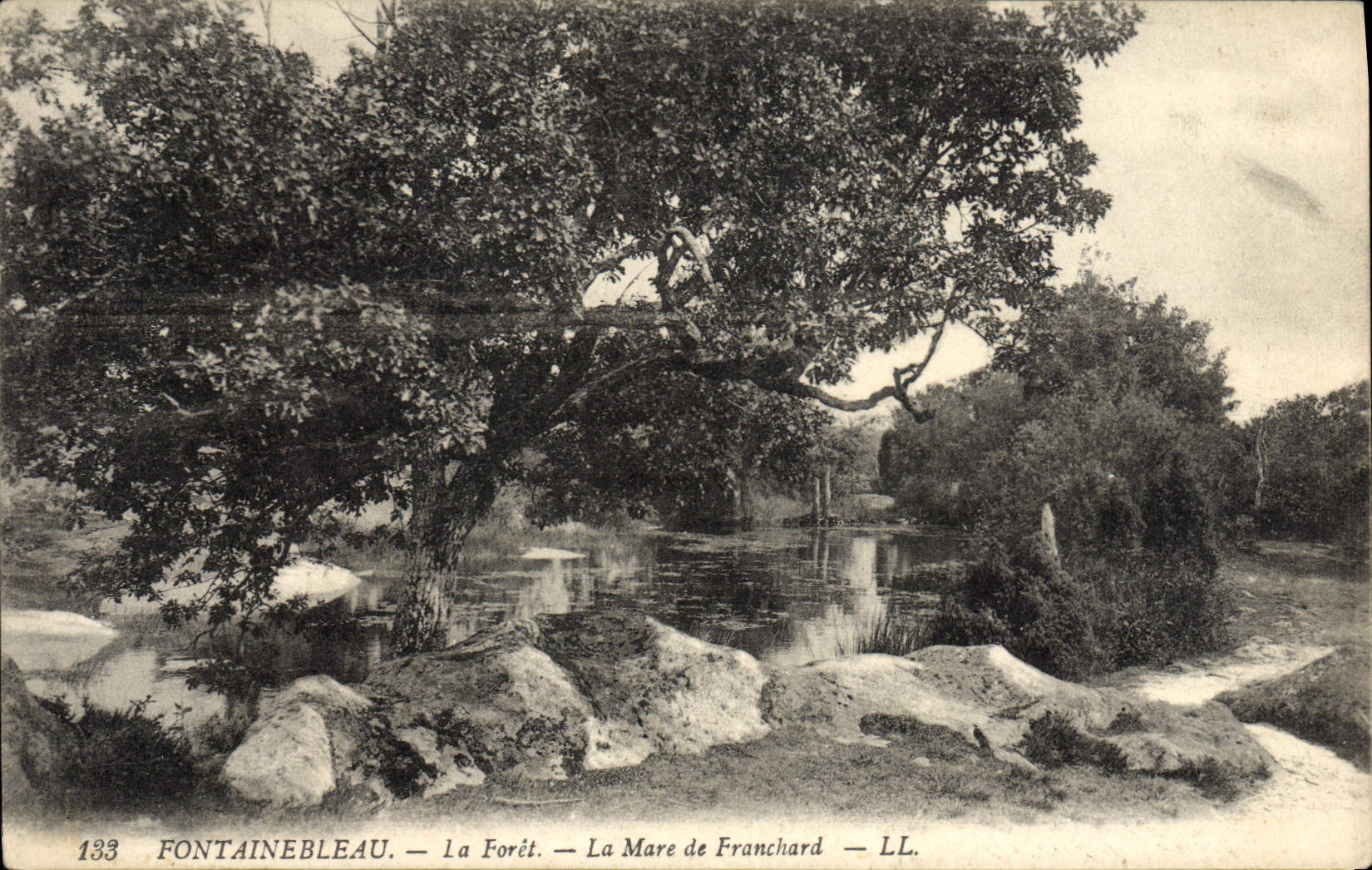 Fontainebleau — La Forêt — La Mare de Franchard — LL. — N° 133