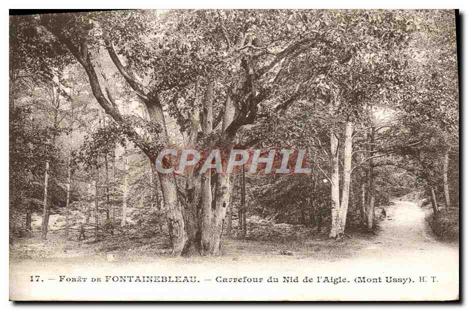 Woud van Fontainebleau — Kruispunt van het Nest van de Aas (Mont Ussy) — H. T.
