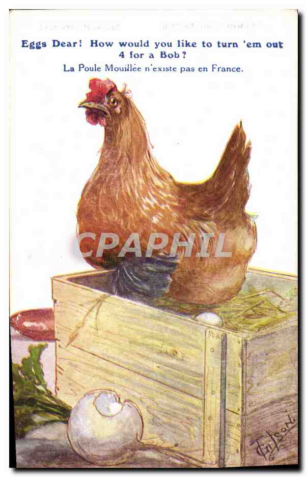 CPA Illustrateur Poule