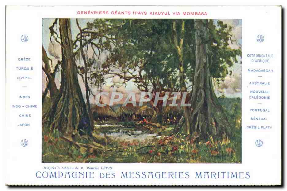 Génériers géants (Pays Kikuyu), via Mombasa — Compagnie des Messageries Maritimes, éditeur Devanbrez, Grav.