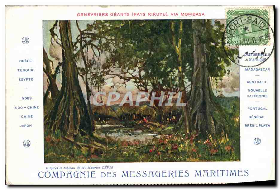 Géants genévriers (Pays Kikuyu), via Mombasa — Compagnie des Messageries Maritimes, éditeur Devanbère