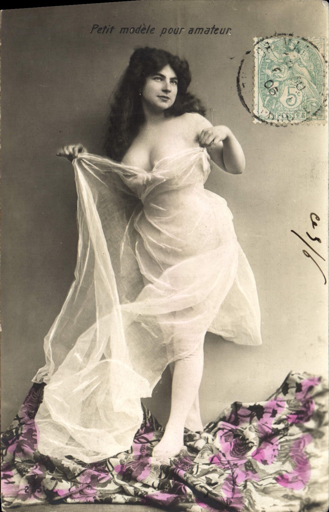 Petit modèle pour amateur — Imprimerie Réunie de Nancy — n°215