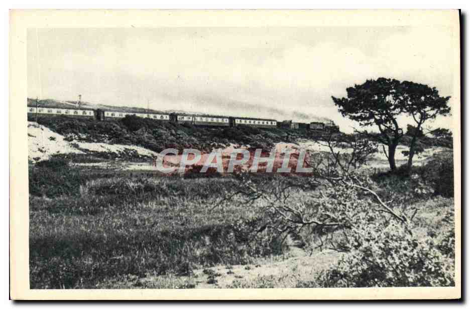 CPA Train Locomotive Chemin de fer du Nord La Fleche d'Or Paris Calais Maritime sans arret