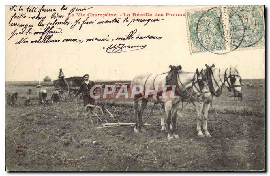 CPA Militaria La vie champetre Le recolte des pommes Attelage 