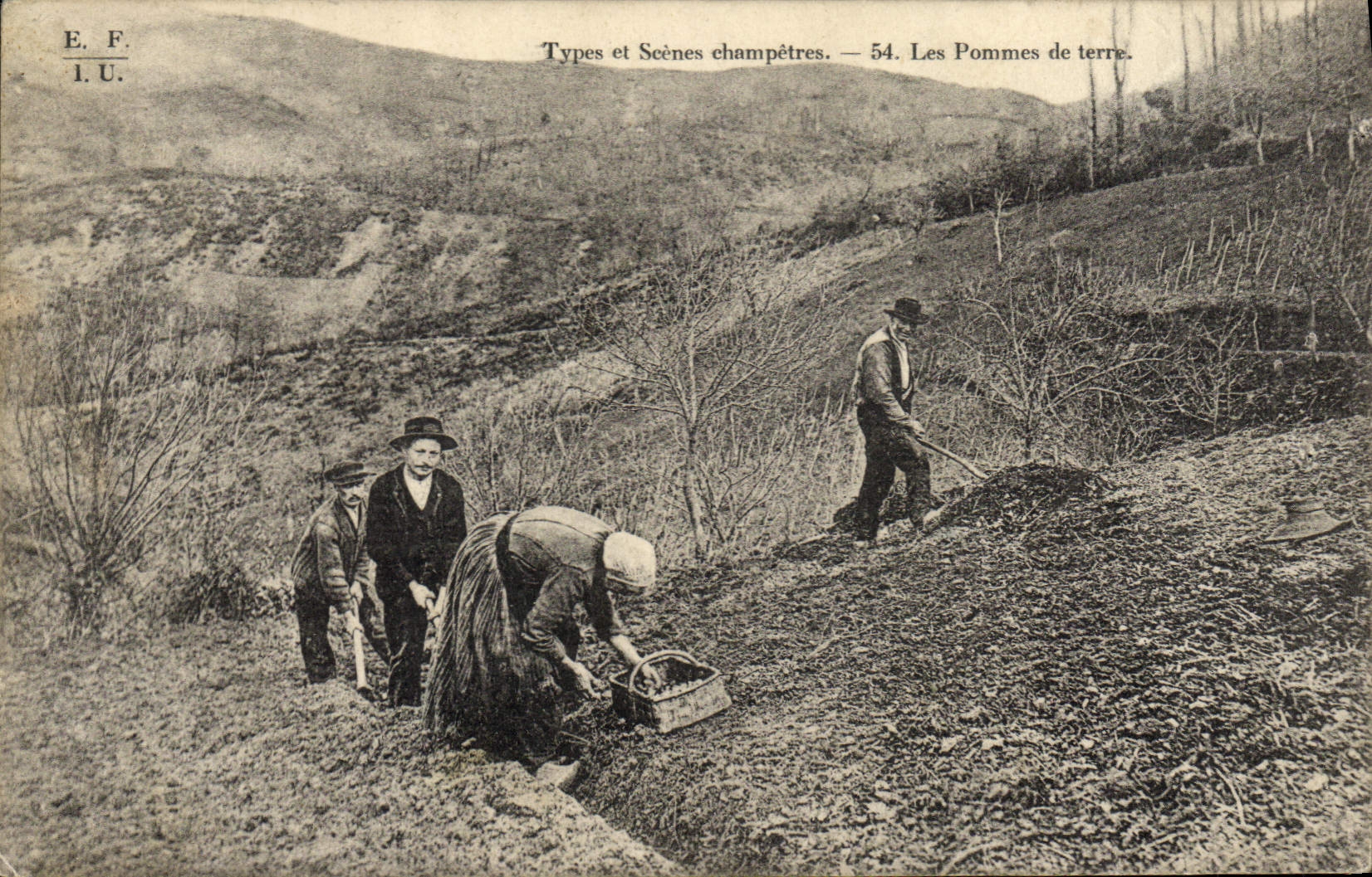 CPA Militaria Les pommes de terre