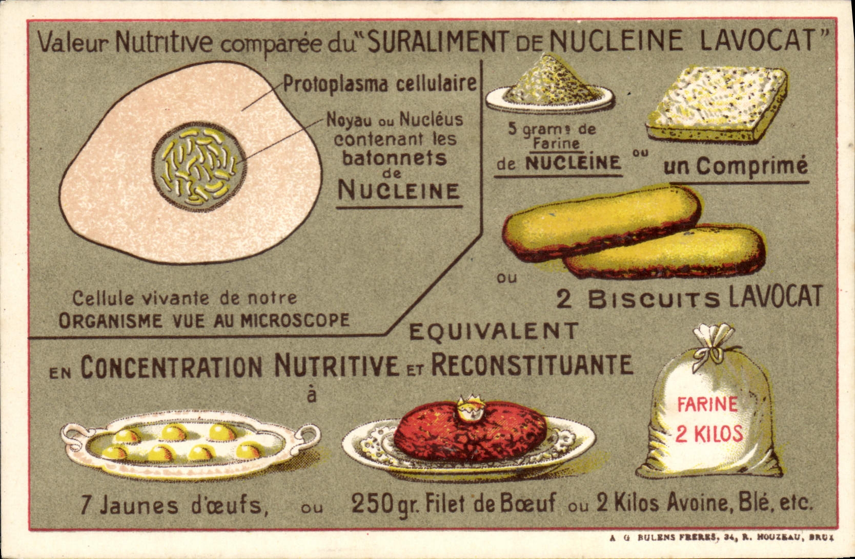 CPA Publicite Suraliment de Nucleine LAVOCAT 