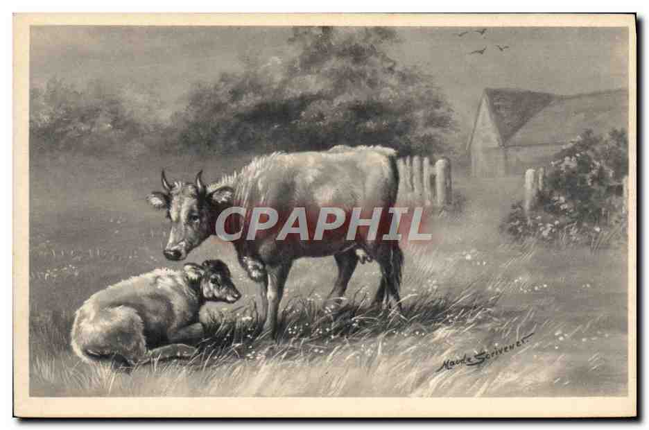 CPA Fantaisie Illustrateur Vaches