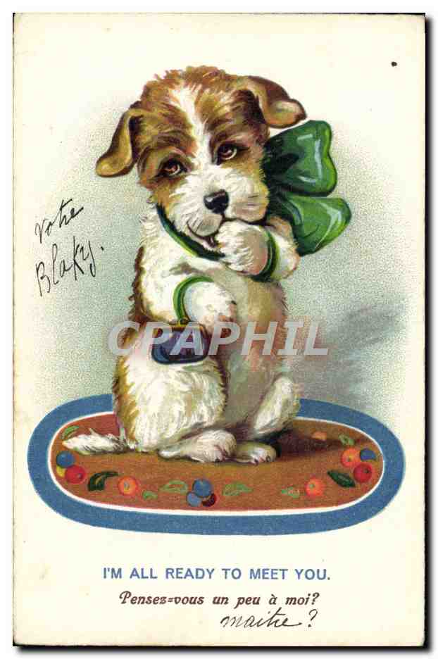 CPA Fantaisie Illustrateur Chien 