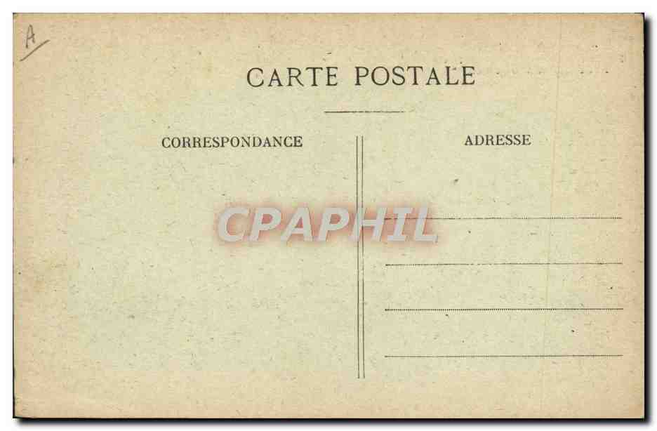 CPA Cochon Porc Folklore en Perigord Deux chercheurs de truffes Fructueuse trouvaille — Rückseite