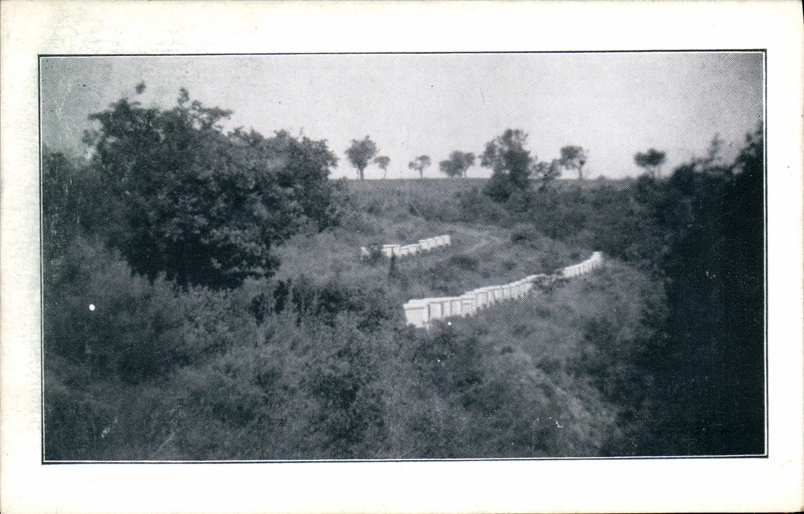 Vue d'un rucher — Rucher des Chicots — Etabl. d'Apiculture Michel NEVIÈRE, Valensole B.A.