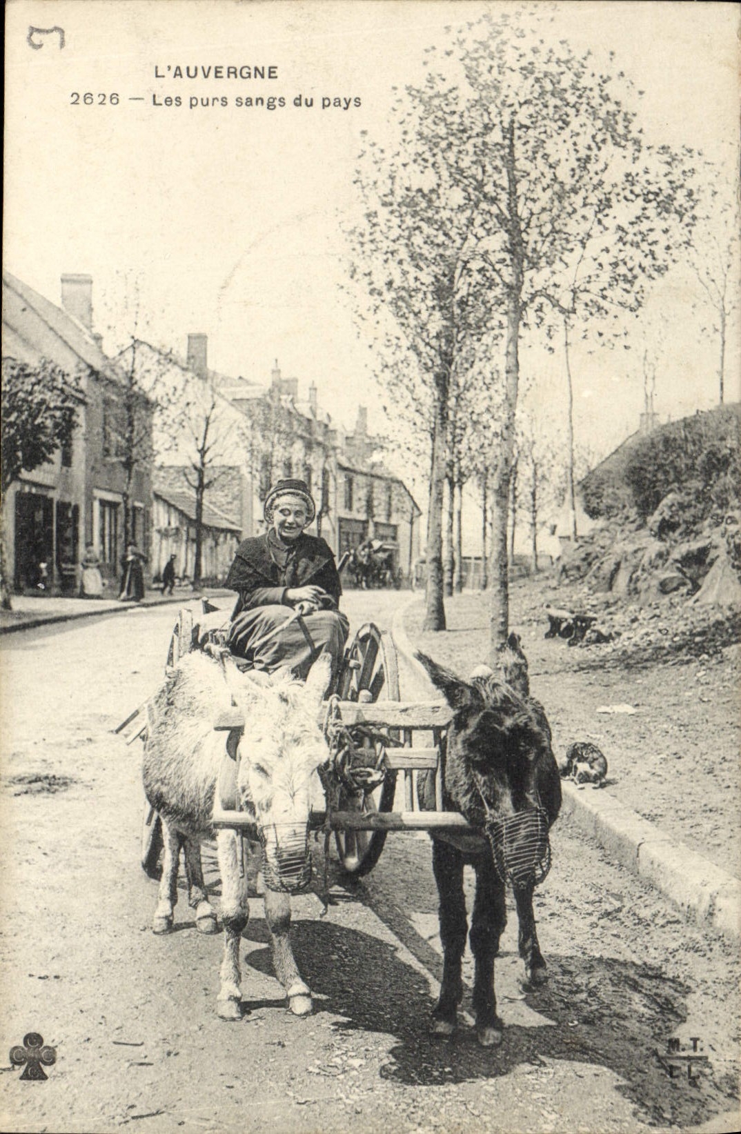 CPA Folklore Auvergne Les purs sand du pays Ane Mule
