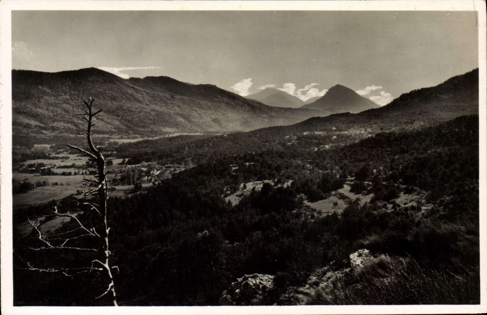 CPM Thorenc Station La Vallee La Foret La Montagne La Suisse en Provence Les Monts Lachens et Beauroux 
