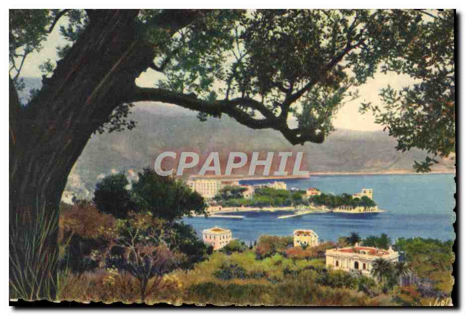 CPA Cote D'Azur Beaulieu
