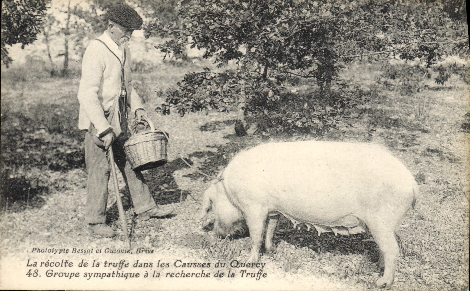 La récolte de la truffe dans les Causses du Quercy — Groupe sympathique à la recherche de la Truffe — Phototypie Bessot et Guionie, Brive, n°48