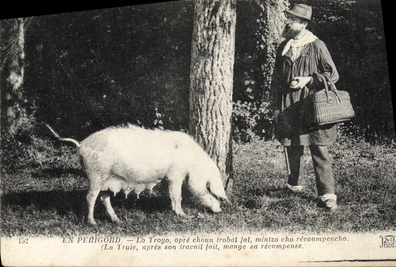 En Périgord — Lo Troyo, après son travail, mange sa récompense — JND Phot.