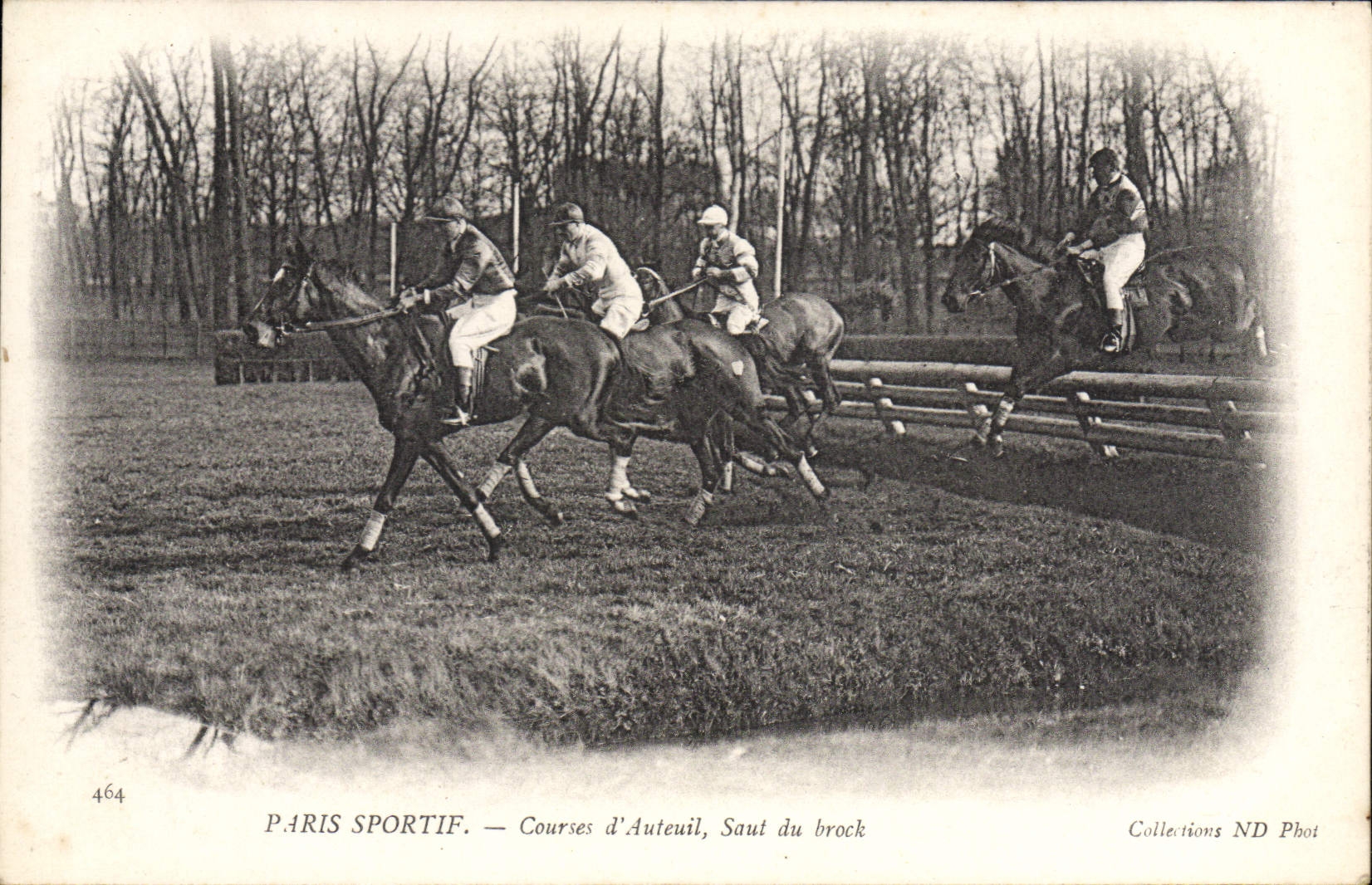Corse d'Auteuil — Salto del brock — Paris Sportif — Collezioni ND Phot