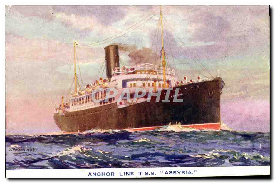 T.S.S. "Assyria" — Anchor Line — dessin de O. Rosenvind
