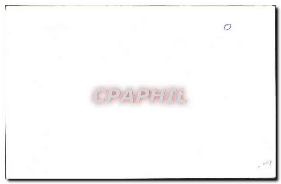 CARTE PHOTO Nu erotique Femme Pornographique — Rückseite