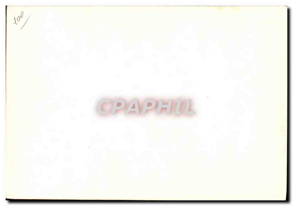 CARTE PHOTO Nu erotique Femme Pornographique — Rückseite