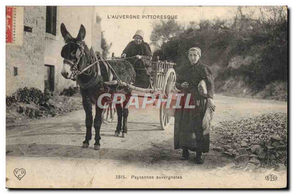 CPA Auvergne Paysannes auvergnates Ane mule Folklore TOP