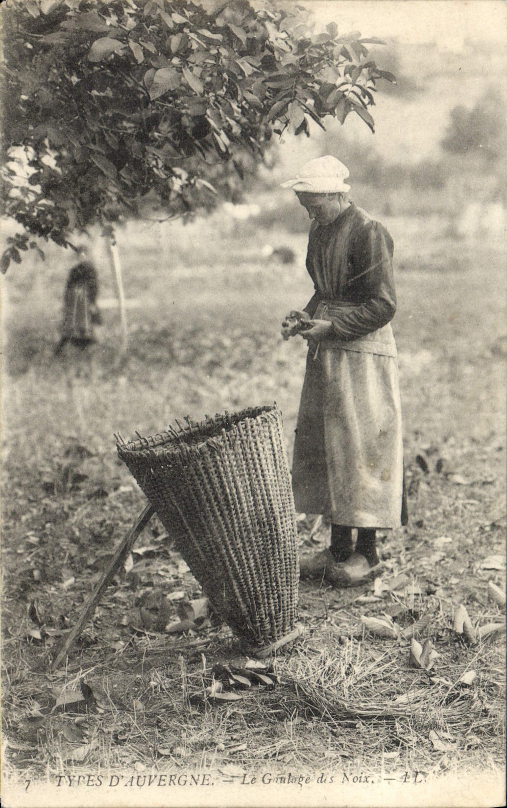 Types d'Auvergne — Le Ginlage des Noix — LL. — N°7