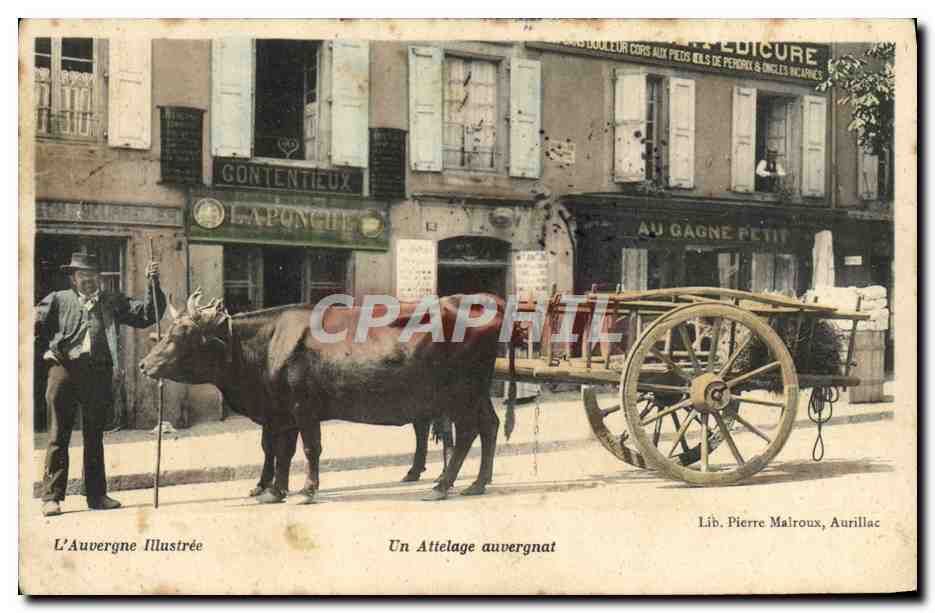CPA Auvergne Un Attelage auvergnat 