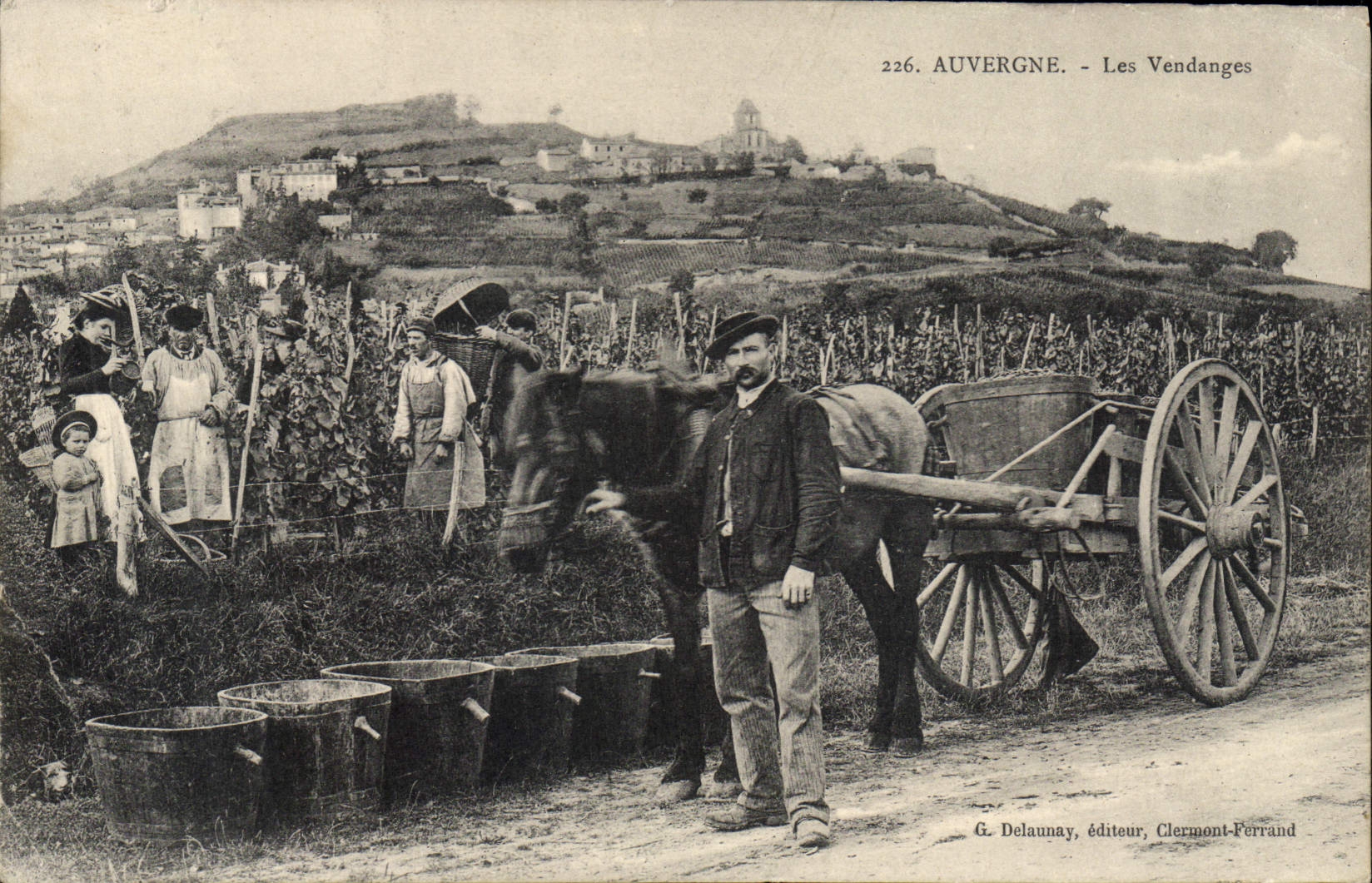 Auvergne - Les Vendanges — G. Delaunay, éditeur Clermont-Ferrand, n°226