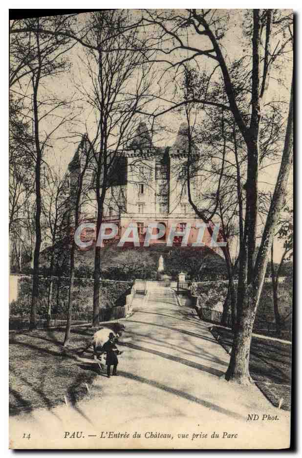 CPA Pau L'Entree Du Chateau Vue Prise Du Parc