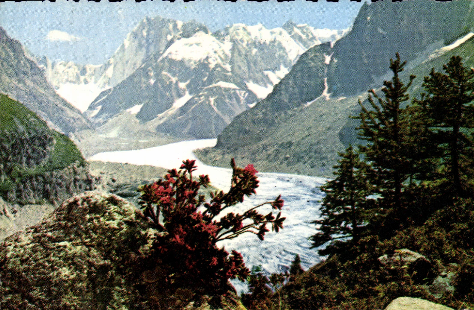CPM Le Mont Blanc La mer de glace Massif des Grandes Jorasses