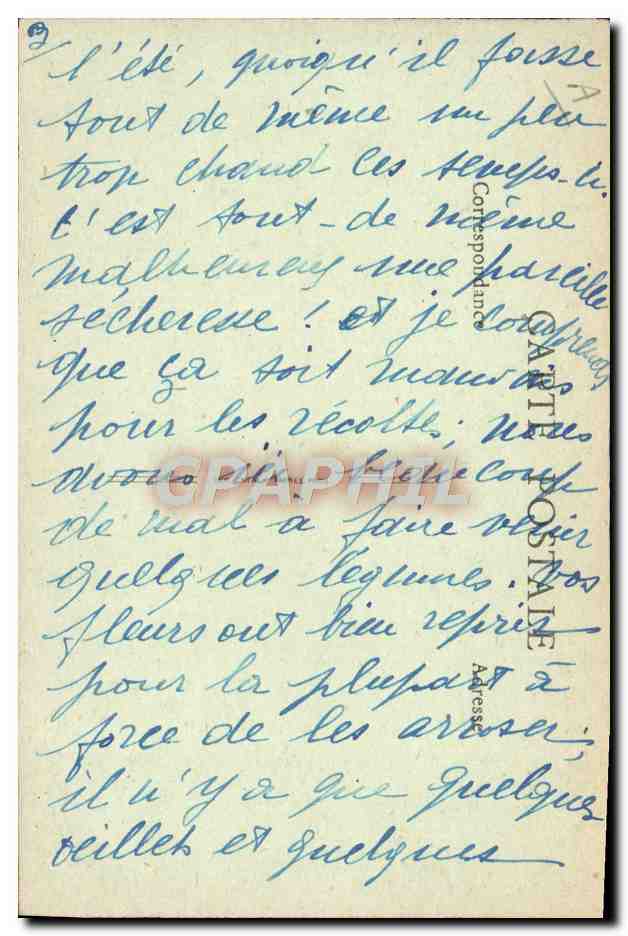 Maison-Laffitte (S.-et-O.) - Champ de Courses - Les Tribunes - B.F.C. — Reverso