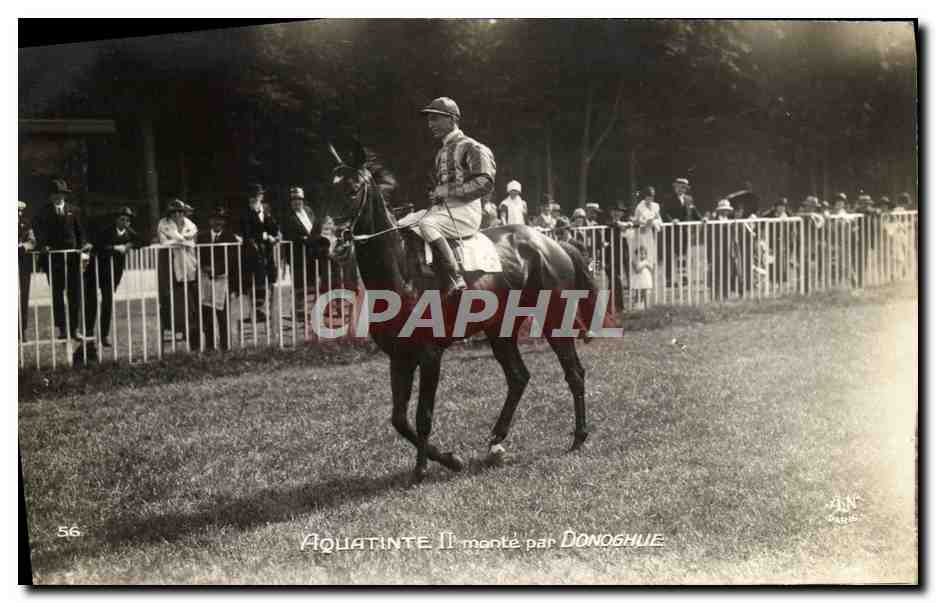 Aquatinte II monté par Donoshule — Course hippique — AN Paris