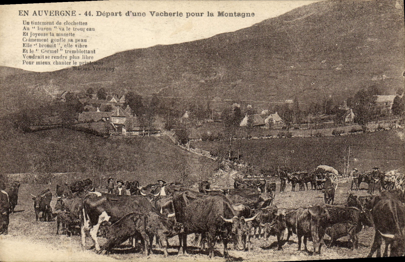 CPA Folklore Auvergne Depart d'une vacherie pour la montagne Vaches 